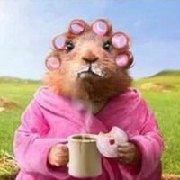 modonna (@b00balegre) 's Twitter Profile
