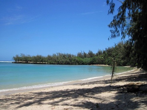 Laaaaa212's profile picture. 