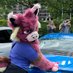 Funky (@funkytowncat) Twitter profile photo Funky (@funkytowncat) Twitter profile photo