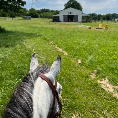 magstorms's profile picture. 