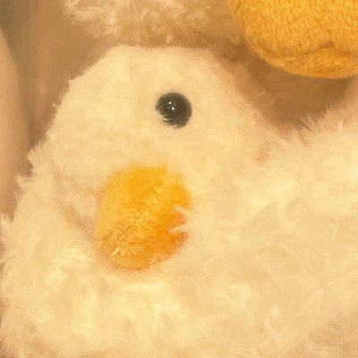 口z口さんのプロフィール画像