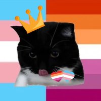 Funny poster queen of lesbians🍉🏳️‍⚧️(@Funnyposter_) 's Twitter Profile Photo