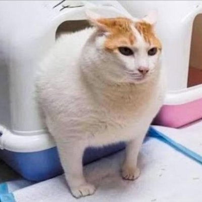 reconnecti10591's profile picture. 