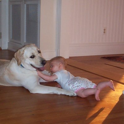 rapuwonton's profile picture. Not ironic