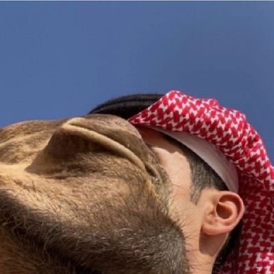 hh03mm1's profile picture. فيني من الطيب ما يسِعد عيون الرفيق وفيني من العزم .. ما يدبل كبود العدا !.