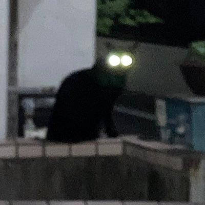 X2Gkk's profile picture. パチスロ引退して株で頑張る  デイトレ