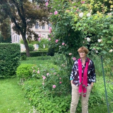 ellenrombout's profile picture. Ex-History Teacher from sept.1 2022. Hoped to get students to read about history, politics, human rights,art. One of three best High School Teachers of 2014.