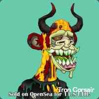 csrsairotroon's profile picture. Life create very special moments. i'm looking for this arts. when i find, imprison it in a photo frame. till you become it's new owner... nft artistcollector
