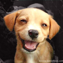 Skyler Hanson - @ieezawshum2995 - Twitter