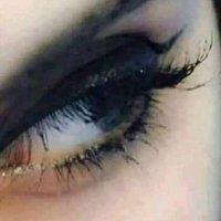 Kulîlka_Aazadiyê (@nudem85511431) Twitter profile photo