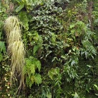 Laura Vinroot Poole (@capitolclt) 's Twitter Profile