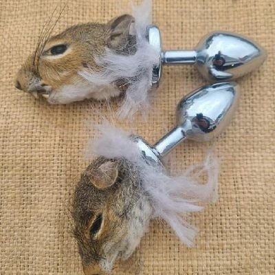 Cerulian_cool's profile picture. 19