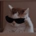 human (@pqrstuab) Twitter profile photo human (@pqrstuab) Twitter profile photo