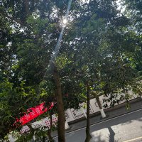 陈小花 (@jo49360) 's Twitter Profile