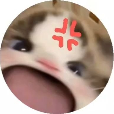 mangoo_shiro's profile picture. 