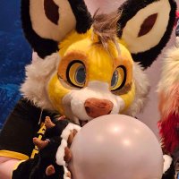 Gaymer Boy🥨 (@maxwolfey) 's Twitter Profile