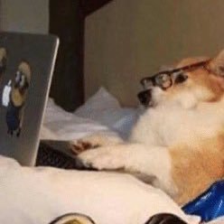 elusive0266's profile picture. lurker