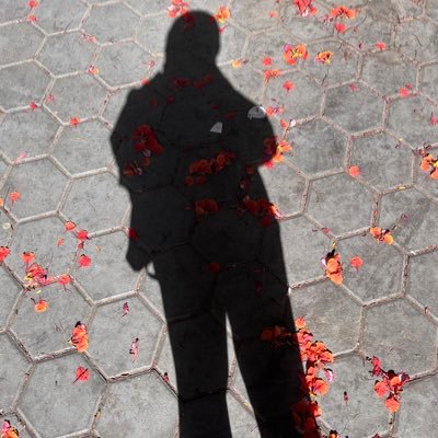 delulumayoura's profile picture. Who said it would be easy?