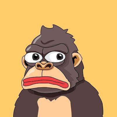 hi I'm Konke, isn't just a meme coin, it's a lifestyle konkecoin
