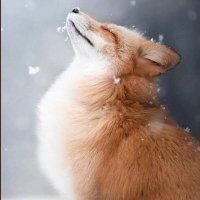 Reaver (@ex_reaver) 's Twitter Profile Photo Reaver (@ex_reaver) 's Twitter Profile Photo