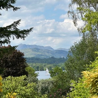 hannah60887447's profile picture. Social Work student and mum 🌈