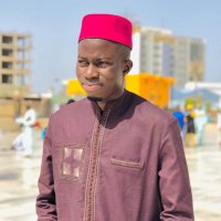 Limame Aidara (@limame_aidara) 's Twitter Profile