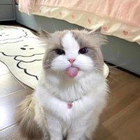^_^ (@_blue_2002) 's Twitter Profile