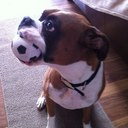 Kurt Schuler - @KESchuler3 - Twitter