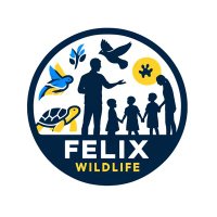 Felix Olusola Abayomi (@felabayomi) 's Twitter Profile