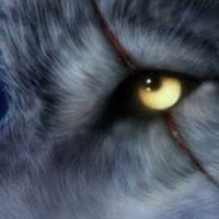 Rwaf (@rwaf1049106) Twitter profile photo