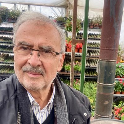 MehmetUzbas42's profile picture. 