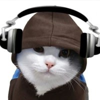 estevão (@tevimpps) 's Twitter Profile