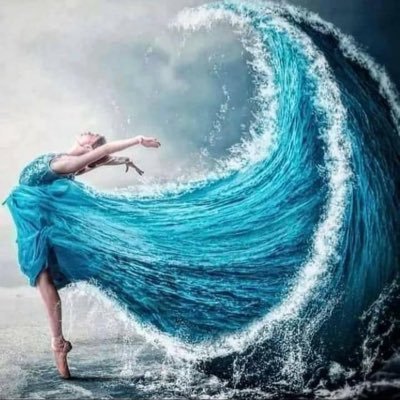 finleys_world's profile picture. 