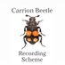 Carrion Beetle Recording Scheme (@silphidaeuk) Twitter profile photo Carrion Beetle Recording Scheme (@silphidaeuk) Twitter profile photo