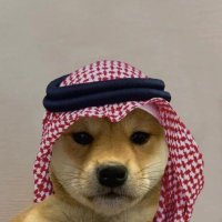 Cook (@cookclay69) 's Twitter Profile