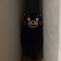 megu (@megujinya) 's Twitter Profile
