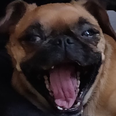 Twitch: https://t.co/YSYeyhpuxT
Youtube: https://t.co/uD9ZDspEPP
TikTok: https://t.co/WXQlQVrkJq