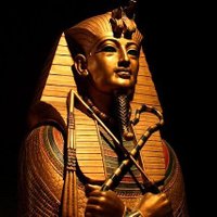 Horus ๐ฏ ๐ช๐ฌ (@horus0siris) 's Twitter Profile