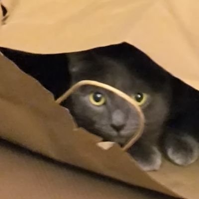 Dcrypto518's profile picture. 