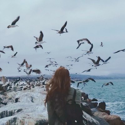 I like to travel, please take care of me
