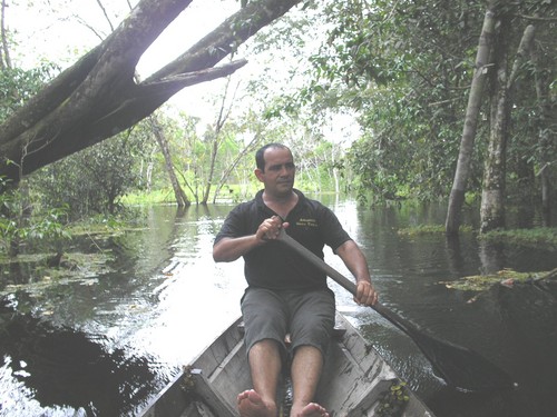 We are a group of experienced tour guides, who are specialized in: Amazon jungle expeditions, Amazon boat trips, jungle survival, spotting of wild life..