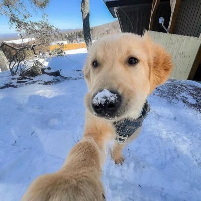 HBWIFONSOL's profile picture. 让我这个大学生赚赚🥺 梦想10mu 给妈妈买大house