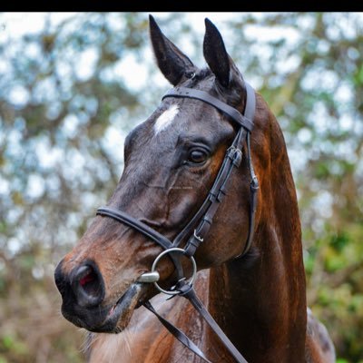 User1907356's profile picture. 