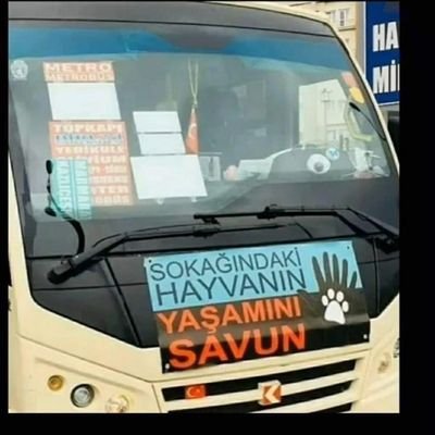 Ercan189603's profile picture. hayvan dostu
