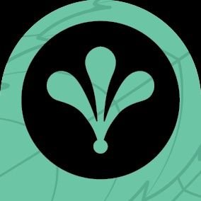 HoneydewTHC's profile picture. Sativa Specialist - Grown by hand and with love near Bellingham WA. Must be 21+ to follow.