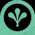 Honeydew 🌱 (@honeydewthc) Twitter profile photo Honeydew 🌱 (@honeydewthc) Twitter profile photo