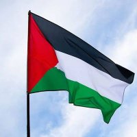Herhangi bir vatandaş🇵🇸 (@franzkafka39811) 's Twitter Profile