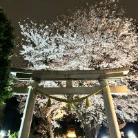crystalchild (@crystalchild) 's Twitter Profile Photo crystalchild (@crystalchild) 's Twitter Profile Photo
