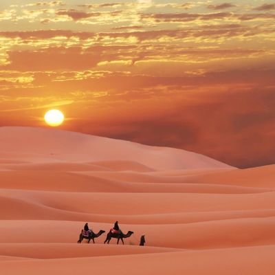 8JtKutTmilsqfxL's profile picture. تربعت القفين في الشول ترتعي حدائق مولي الأسرة أغيد