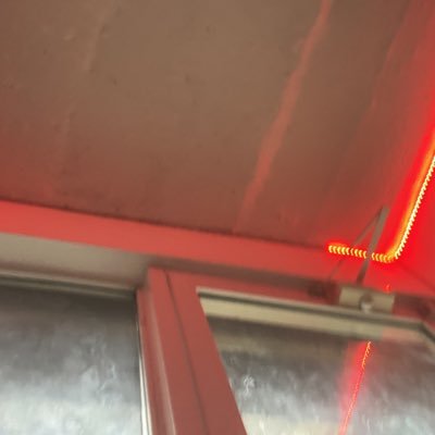 E77037errf's profile picture. 